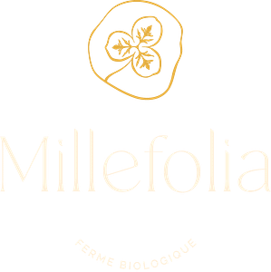 Plantes médicinales du Québec et herbes aromatiques du Québec Millefolia - ferme aromatique