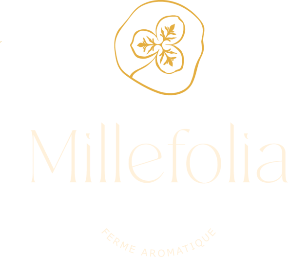 Millefolia - ferme aromatique