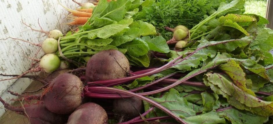 essentiel de cuisine: brosse à légumes