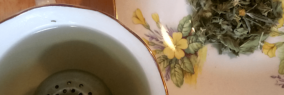 Infusion tisane médicinale biologique